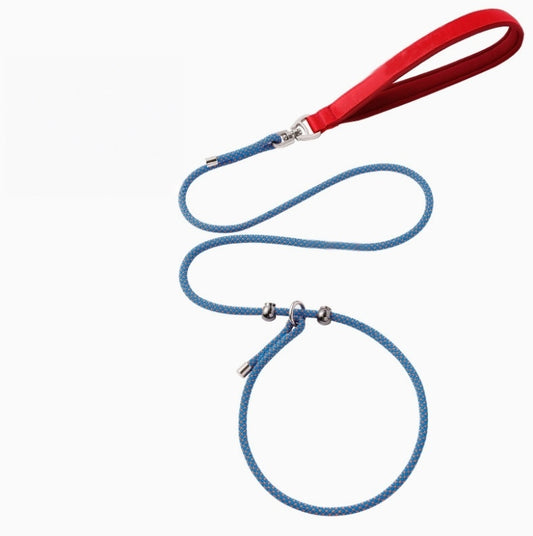 ドッグリード P型のリード しつけ用 散歩用チェーン 一体式首輪 P型のチェーン 小中大型犬 ペット用 窒息防止 耐摩耗 絡まり防止 脱落防止 丈夫 安全 ブルー QYS-N008