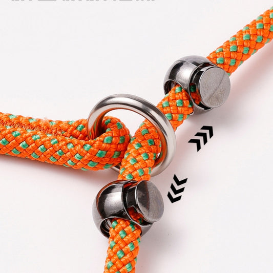 ドッグリード P型のリード しつけ用 散歩用チェーン 一体式首輪 P型のチェーン 小中大型犬 ペット用 窒息防止 耐摩耗 絡まり防止 脱落防止 丈夫 安全 ブルー QYS-N008