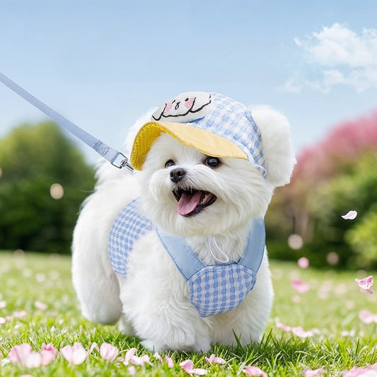ペット服　春夏用　アウトドア　腕締め防止帽子　調節可能　猫の服　中小型犬　犬の服　高反発　耳が出る　通気性良好　日除け　柔らかい　かわいい　ブルー　FZ-N009
