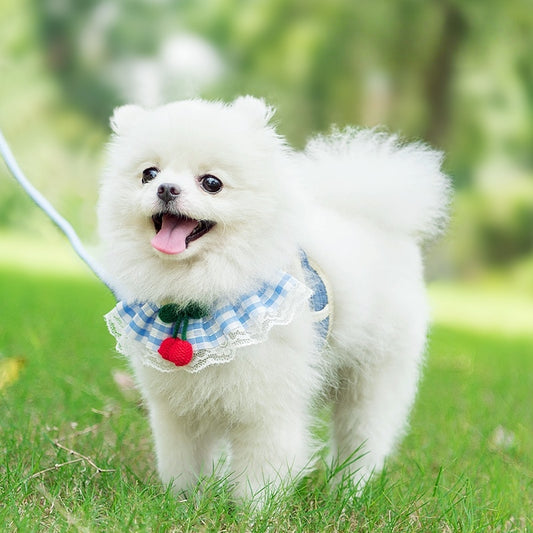 犬用リード　胸バックル　猫の散歩ロープ　小型犬用　ペット用チェーン　背負タイプのリード　牽引帯　ペット用　脱落防止　快適　調節可能　耐久性が高い　頑丈　かわいい　ピンク　QYS-N002