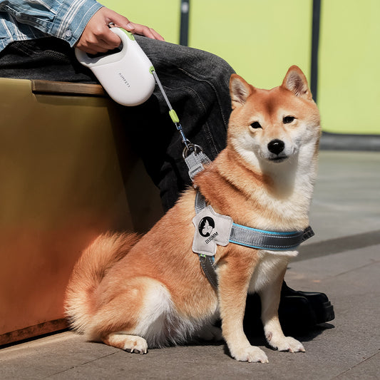 犬用リード　ペット用チェーン　反射リード　犬用ロープ　お出かけ用チェーン　ペット用　自動伸縮リード　散歩リード　安全　調節可能　耐久性が高い　軽量　反射素材　おしゃれ　グレー　QYS-N003