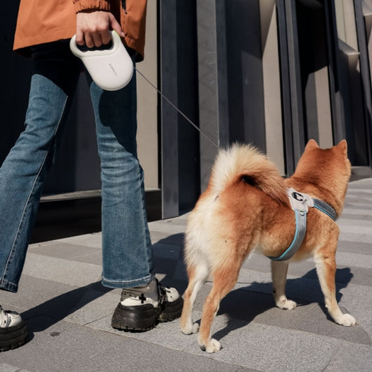 犬用リード　ペット用チェーン　反射リード　犬用ロープ　お出かけ用チェーン　ペット用　自動伸縮リード　散歩リード　安全　調節可能　耐久性が高い　軽量　反射素材　おしゃれ　グレー　QYS-N003