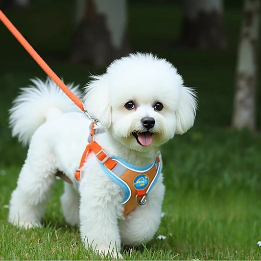 犬用リード　ベストタイプ　ドッグチェーン　散歩リード　胸バックル　ペット用　中小型犬　牽引リード　通気性良い　快適　反射素材　調節可能　締め付けない　柔らかい　オレンジ　QYS-N006