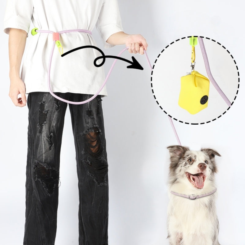 ペットリード　散歩用リード　発泡綿　P型リード　訓練用　散歩用リード　小中大型犬　耐摩耗　調節可能　快適　手に優しい　斜め掛け可能　飛び出し防止　かわいい　ブルー　QYS-N012
