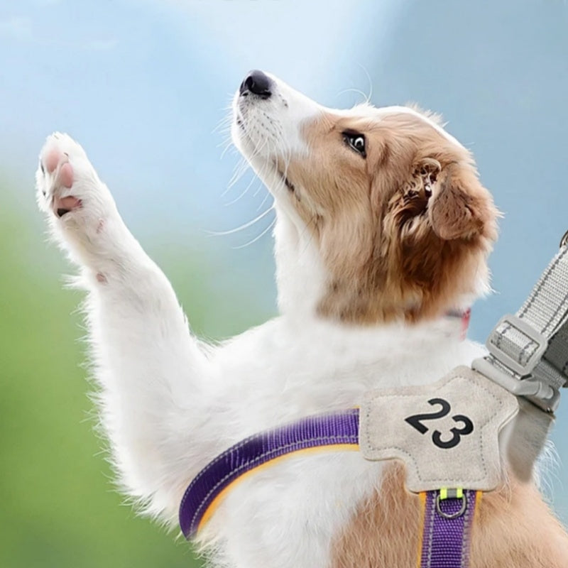 犬用リード　ハーネス　胸当てタイプ　お散歩リード　ペットリード　ペット用　大中小型犬　訓練用　耐摩耗　反射素材　調節可能　脱落防止　手に優しい　便利　パープル　QYS-N013