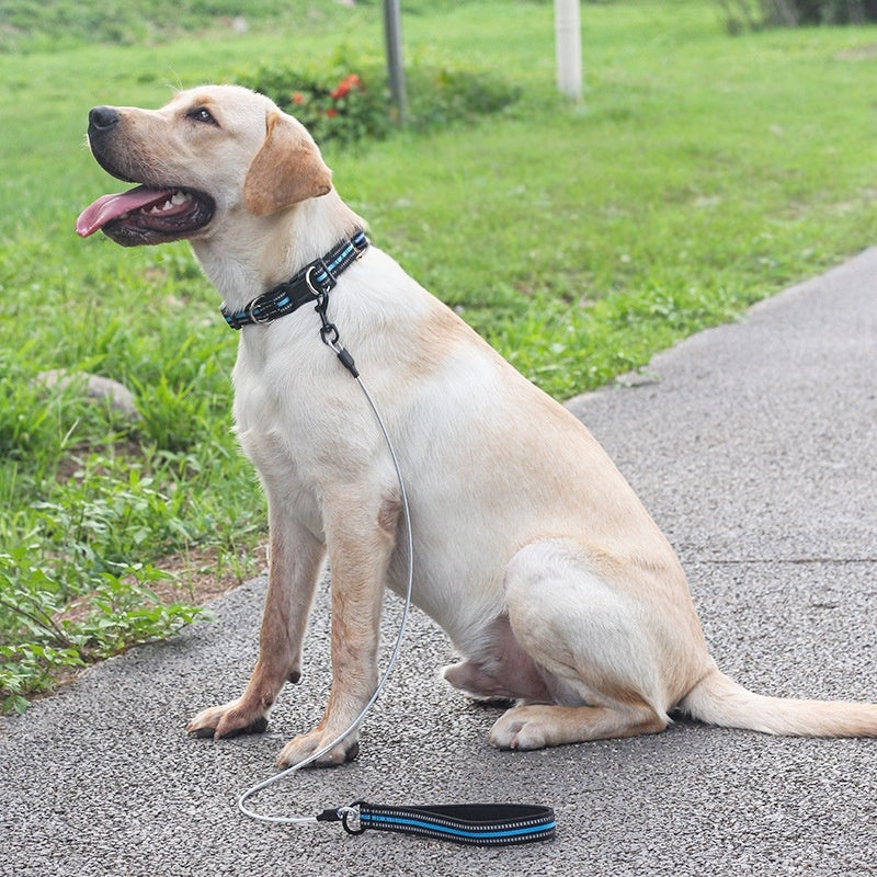 犬用リード　首輪　チェーン　ステンレスワイヤー　しつけ用　ペット用　中型・大型犬用　お散歩リード　反射素材　噛みにくい　調節可能　耐久性のある　脱落防止　便利　ブラック　QYS-N014