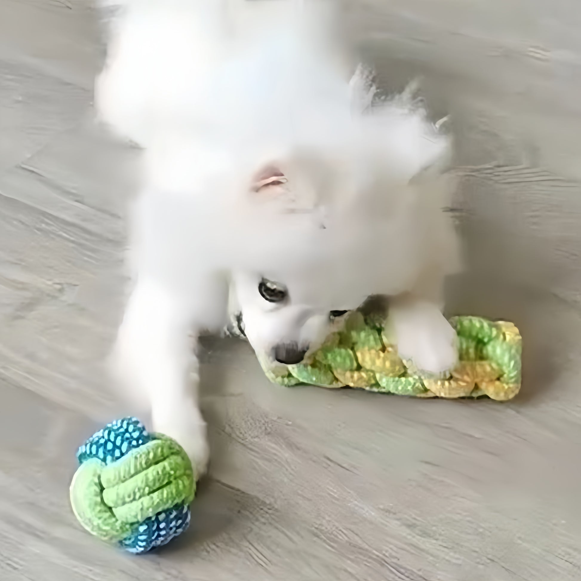 犬　コットンロープのおもちゃ　小型・中型犬　ペット用品　犬のおもちゃ　ペット用　フリスビーセット　歯磨き棒　噛みに強い　インタラクティブ　歯をきれいにする　頑丈　退屈を紛らわせる　耐久性がある　グリーン　WJ-N010