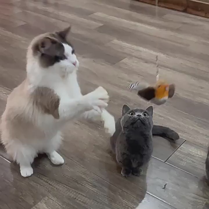 ペット　鳴く鳥　おもちゃ　猫じゃらし　猫のおもちゃ　子猫用おもちゃ　吊るせる　ぬいぐるみ　音が出る　自分で楽しむ　退屈を紛らわせる　猫じゃらし　かわいい　ブルー　WJ-N002