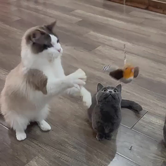 ペット　鳴く鳥　おもちゃ　猫じゃらし　猫のおもちゃ　子猫用おもちゃ　吊るせる　ぬいぐるみ　音が出る　自分で楽しむ　退屈を紛らわせる　猫じゃらし　かわいい　ブルー　WJ-N002